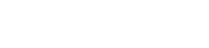 Veirax Web, tu socio digital